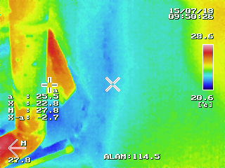 天井クロスにシミが、柱や梁が雨でぬれている。
