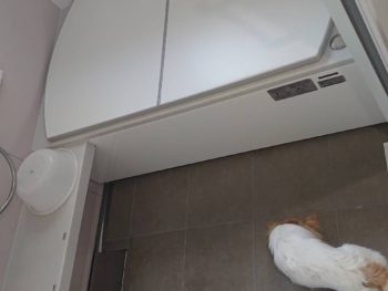 神戸市北区　間取り変更・浴室・洗面所・トイレ改修工事